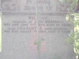 image of grave number 828948
